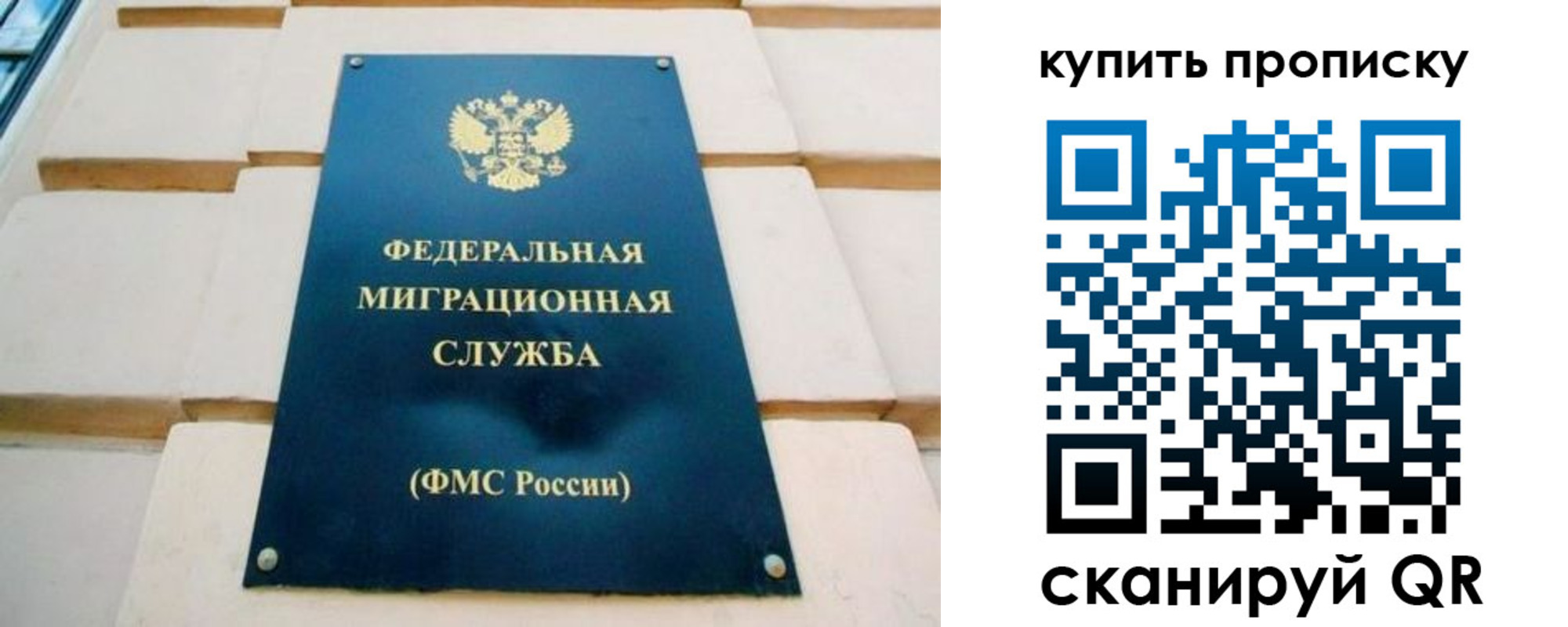 прописка в Ельце